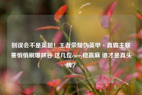 别误会不是英超!王者荣耀伪英甲·真霸主联赛悄悄刷爆峡谷 这几位carry稳赢麻 谁才是真头牌?