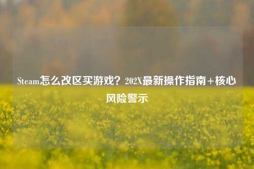 Steam怎么改区买游戏？202X最新操作指南+核心风险警示