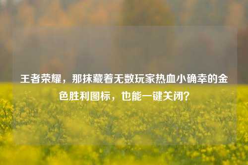 王者荣耀,那抹藏着无数玩家热血小确幸的金色胜利图标,也能一键关闭?