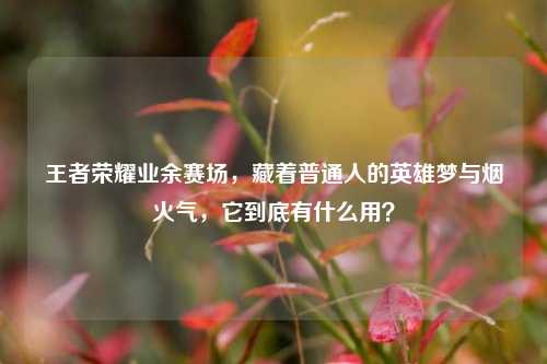 王者荣耀业余赛场,藏着普通人的英雄梦与烟火气,它到底有什么用?