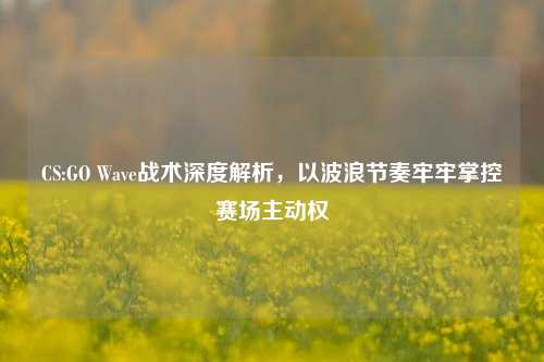 CS:GO Wave战术深度解析,以波浪节奏牢牢掌控赛场主动权