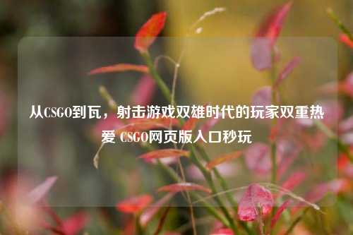 从CSGO到瓦,射击游戏双雄时代的玩家双重热爱 CSGO网页版入口秒玩