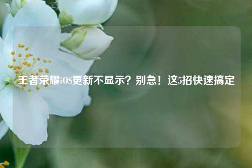 王者荣耀iOS更新不显示?别急!这5招快速搞定