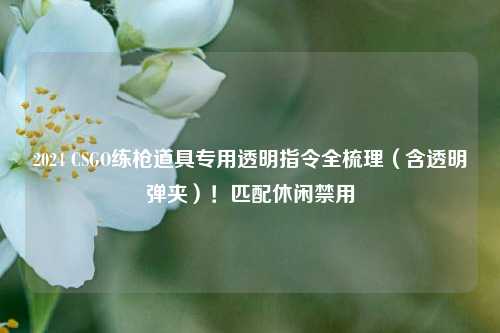 2024 CSGO练枪道具专用透明指令全梳理(含透明弹夹)!匹配休闲禁用