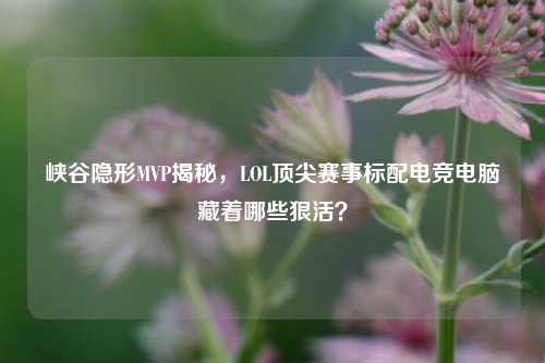 峡谷隐形MVP揭秘,LOL顶尖赛事标配电竞电脑藏着哪些狠活?