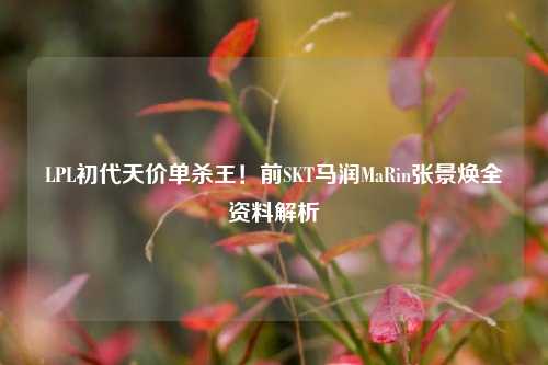 LPL初代天价单杀王!前SKT马润MaRin张景焕全资料解析