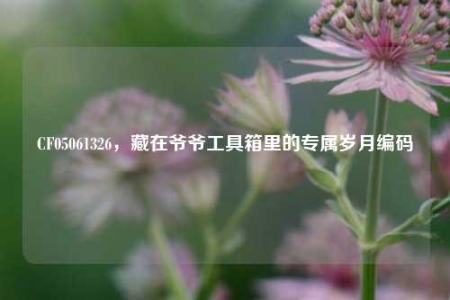 CF05061326,藏在爷爷工具箱里的专属岁月编码