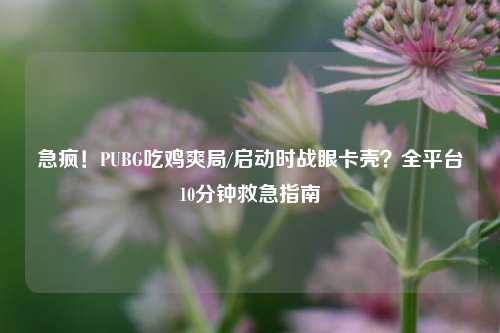 急疯!PUBG吃鸡爽局/启动时战眼卡壳?全平台10分钟救急指南