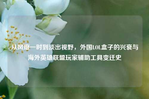 从风靡一时到淡出视野,外国LOL盒子的兴衰与海外英雄联盟玩家辅助工具变迁史