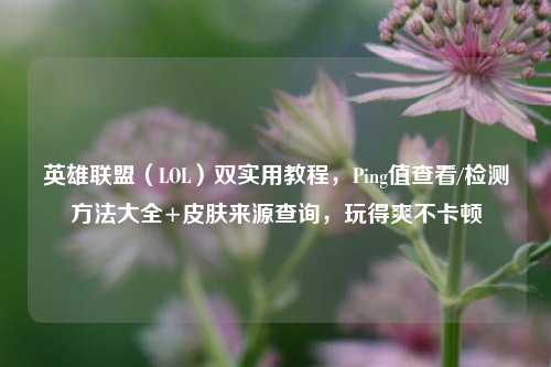 英雄联盟(LOL)双实用教程,Ping值查看/检测方法大全+皮肤来源查询,玩得爽不卡顿