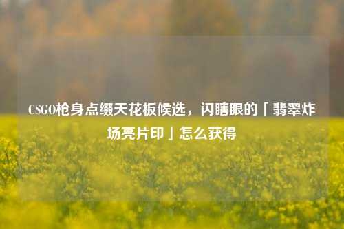 CSGO枪身点缀天花板候选,闪瞎眼的「翡翠炸场亮片印」怎么获得