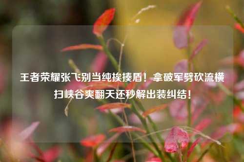 王者荣耀张飞别当纯挨揍盾!拿破军劈砍流横扫峡谷爽翻天还秒解出装纠结!