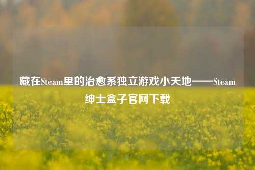 藏在Steam里的治愈系独立游戏小天地——Steam绅士盒子官网下载