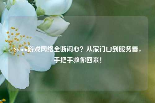 Steam游戏网络全断闹心?从家门口到服务器,手把手救你回来!