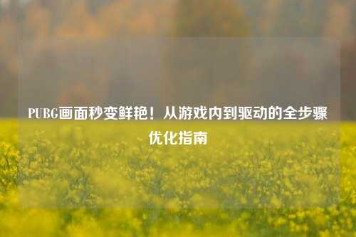 PUBG画面秒变鲜艳!从游戏内到驱动的全步骤优化指南