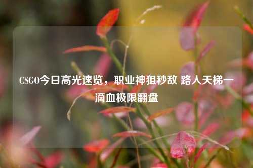 CSGO今日高光速览,职业神狙秒敌 路人天梯一滴血极限翻盘