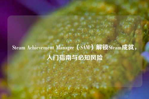 Steam Achievement Manager(SAM)解锁Steam成就,入门指南与必知风险