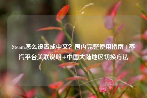 Steam怎么设置成中文?国内完整使用指南+蒸汽平台关联说明+中国大陆地区切换方法