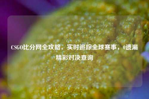 CSGO比分网全攻略,实时追踪全球赛事,0遗漏精彩对决查询
