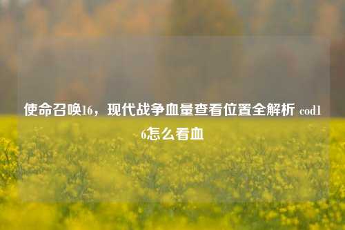 使命召唤16,现代战争血量查看位置全解析 cod16怎么看血