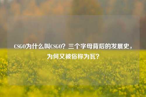 CSGO为什么叫CSGO?三个字母背后的发展史,为何又被俗称为瓦?