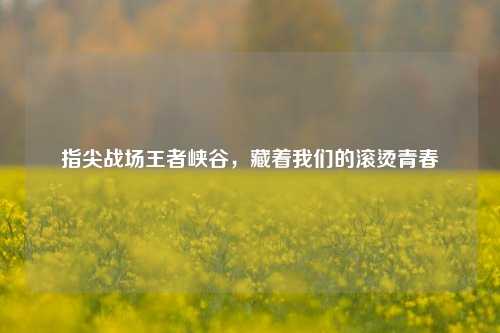 指尖战场王者峡谷，藏着我们的滚烫青春