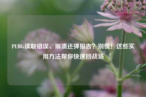 PUBG读取错误、崩溃还弹报告？别慌！这些实用方法帮你快速回战场