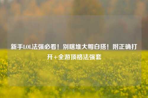 新手LOL法强必看!别瞎堆大帽白搭!附正确打开+全游顶格法强套
