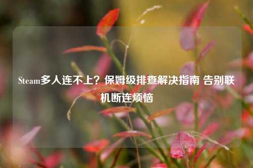 Steam多人连不上?保姆级排查解决指南 告别联机断连烦恼