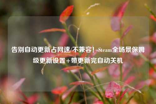 告别自动更新占网速/不兼容!Steam全场景保姆级更新设置+带更新完自动关机