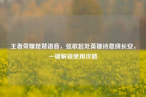 王者荣耀琵琶语音,弦歌起处英雄诗意绕长安,一键解锁使用攻略