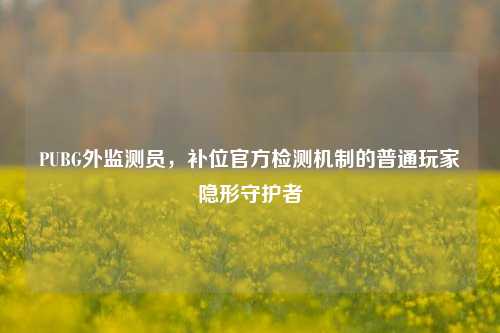 PUBG外监测员，补位官方检测机制的普通玩家隐形守护者