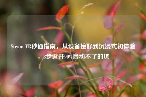 Steam VR秒通指南，从设备接好到沉浸式初体验，3步避开90%启动不了的坑