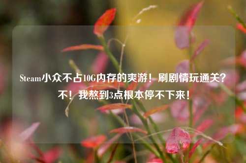 Steam小众不占10G内存的爽游!刷剧情玩通关?不!我熬到3点根本停不下来!
