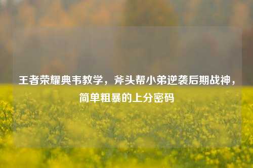 王者荣耀典韦教学,斧头帮小弟逆袭后期战神,简单粗暴的上分密码