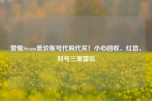 警惕Steam低价账号代购代买!小心回收、红信、封号三重雷区