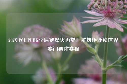 202X PCL PUBG季后赛烽火再燃!群雄逐鹿锁世界赛门票附赛程