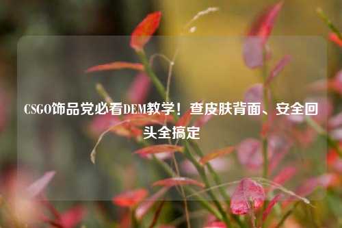 CSGO饰品党必看DEM教学!查皮肤背面、安全回头全搞定