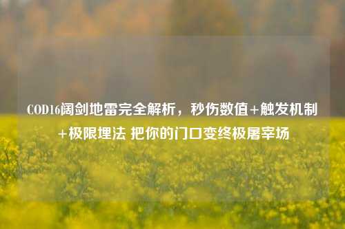 COD16阔剑地雷完全解析,秒伤数值+触发机制+极限埋法 把你的门口变终极屠宰场