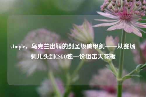 s1mple，乌克兰出鞘的剑圣级破甲剑——从赛场刺儿头到CSGO独一份狙击天花板