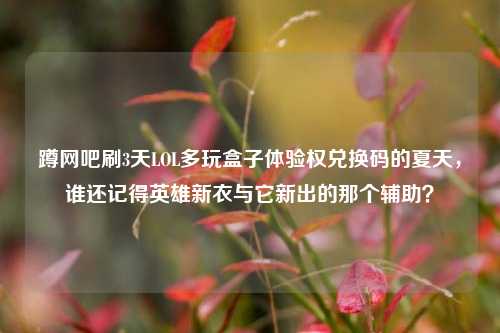 蹲网吧刷3天LOL多玩盒子体验权兑换码的夏天,谁还记得英雄新衣与它新出的那个辅助?
