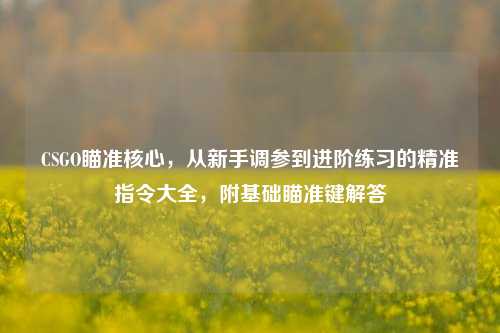 CSGO瞄准核心,从新手调参到进阶练习的精准指令大全,附基础瞄准键解答