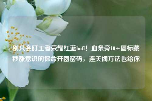 别只会盯王者荣耀红蓝buff!血条旁10+图标藏秒涨意识的保命开团密码,连关闭方法也给你
