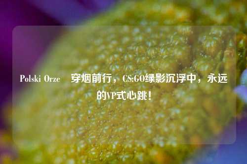 Polski Orzeł穿烟前行，CS:GO绿影沉浮中，永远的VP式心跳！