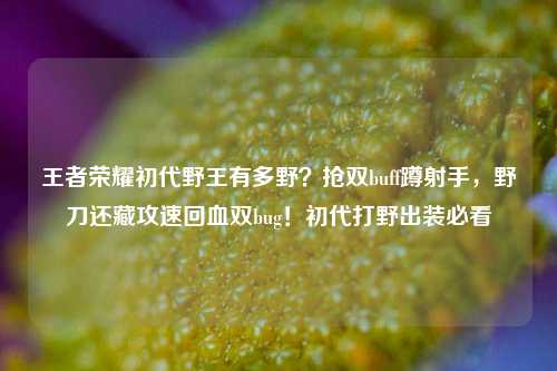 王者荣耀初代野王有多野?抢双buff蹲射手,野刀还藏攻速回血双bug!初代打野出装必看