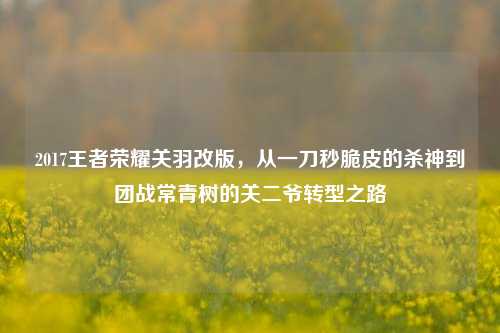 2017王者荣耀关羽改版,从一刀秒脆皮的杀神到团战常青树的关二爷转型之路