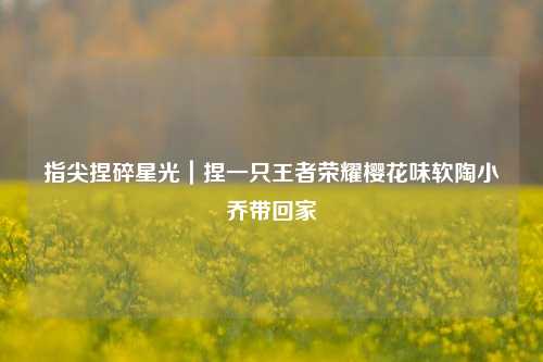 指尖捏碎星光|捏一只王者荣耀樱花味软陶小乔带回家