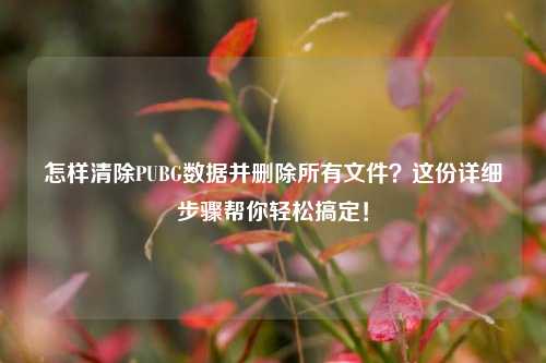 怎样清除PUBG数据并删除所有文件?这份详细步骤帮你轻松搞定!