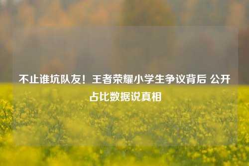 不止谁坑队友!王者荣耀小学生争议背后 公开占比数据说真相