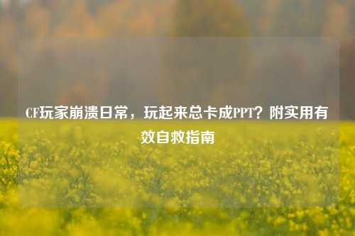 CF玩家崩溃日常，玩起来总卡成PPT？附实用有效自救指南